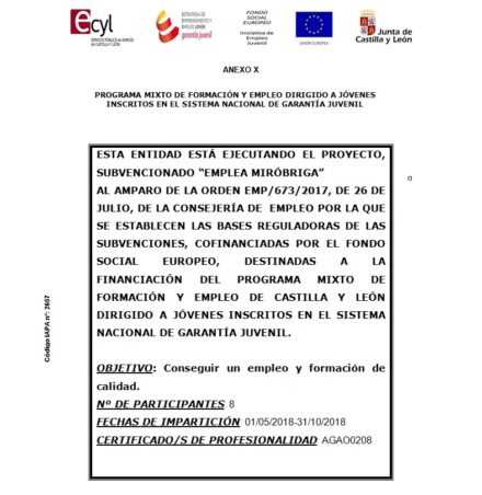 Programa mixto de formación y empleo dirigido a Jóvenes inscritos en el sistema nacional de garantía juvenil. Anexo X