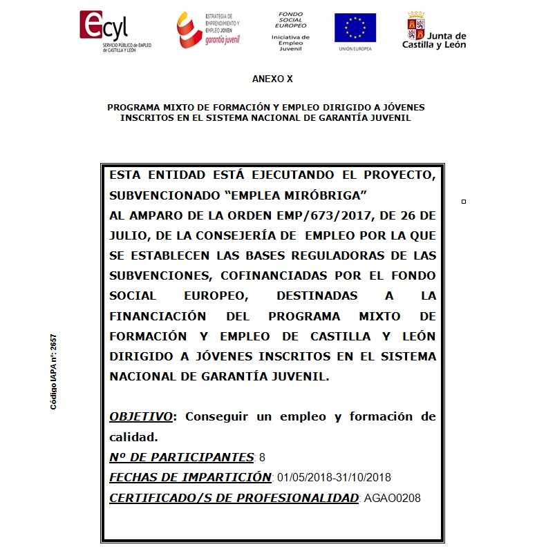Programa mixto de formación y empleo dirigido a Jóvenes inscritos en el sistema nacional de garantía juvenil. Anexo X
