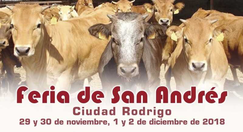 Feria de San Andrés 2018