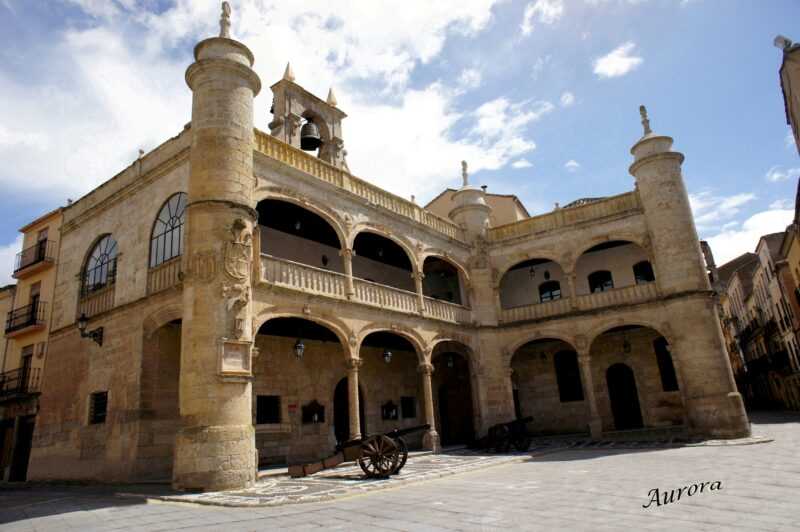 Fechas de expedición del DNI en Ciudad Rodrigo. Año 2019