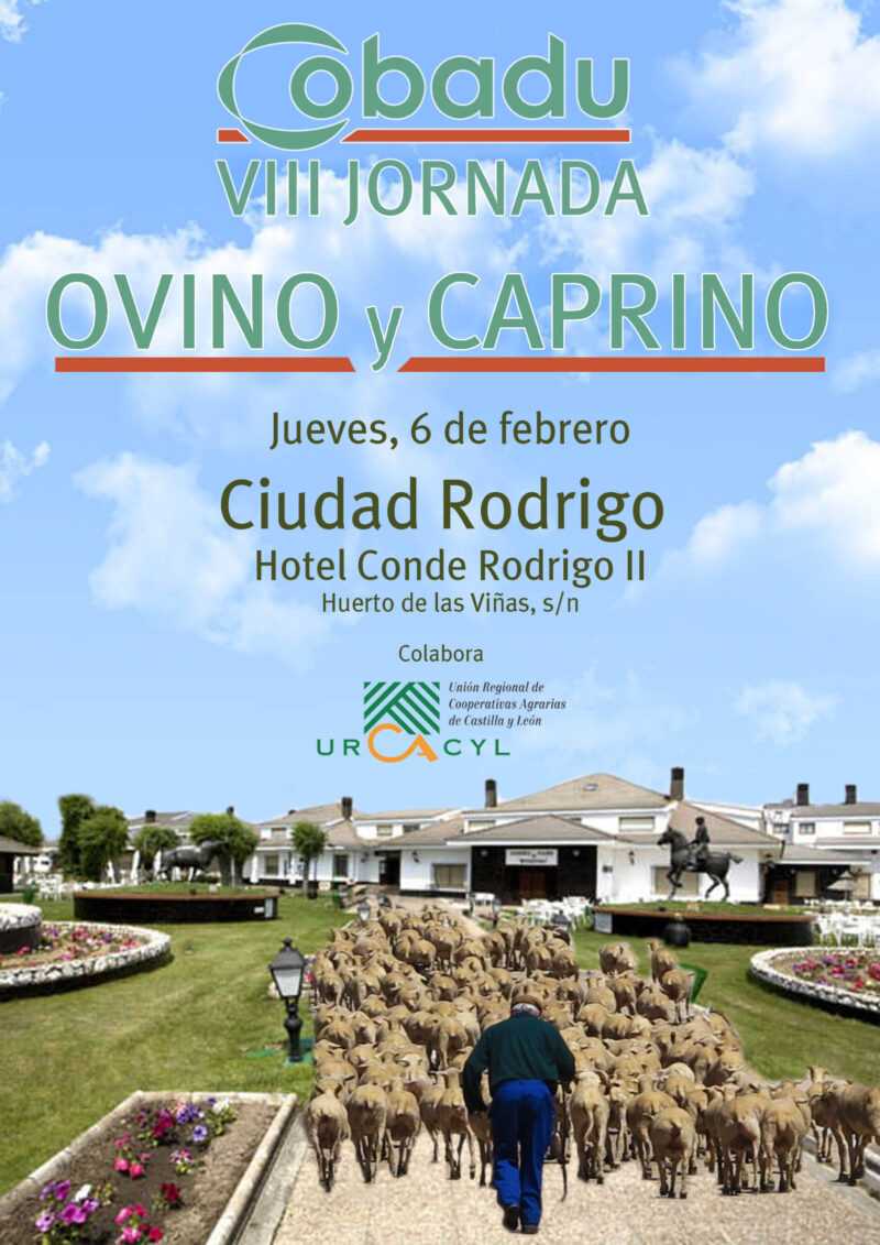 Jornada de Ovino y Caprino en Ciudad Rodrigo
