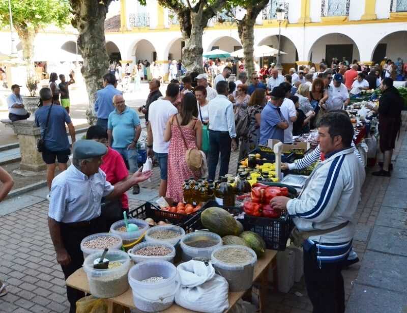 Mercado tradicional de la Plaza del Buen Alcalde