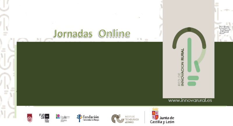 Jornadas On-line