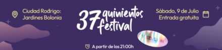Festival 37quinientos. Licitación barra de bar