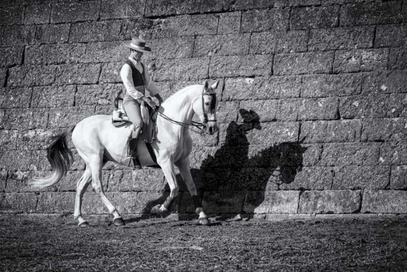 XIX Concurso de Fotografía Feria del Caballo 2022