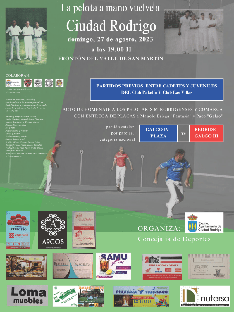 Partido de Pelota a Mano