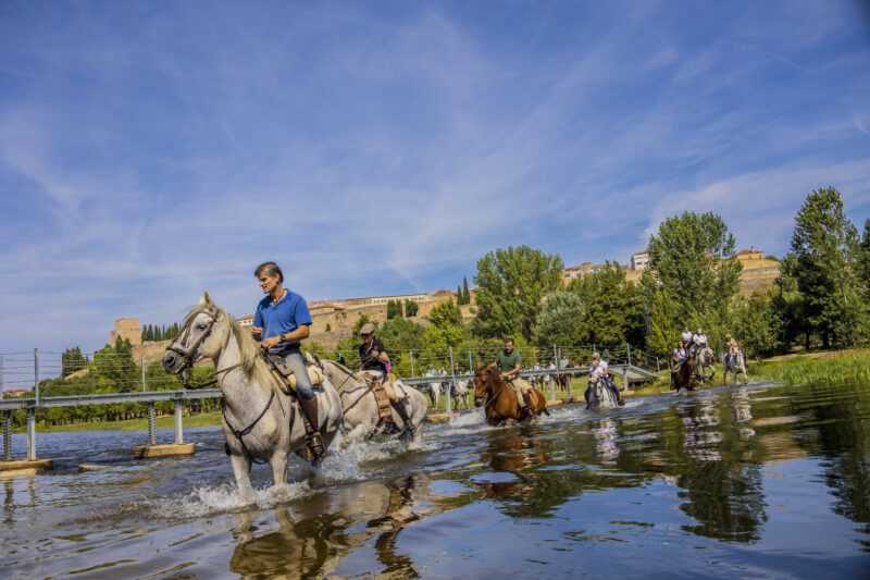 XX Concurso Fotografía Feria del Caballo 2023