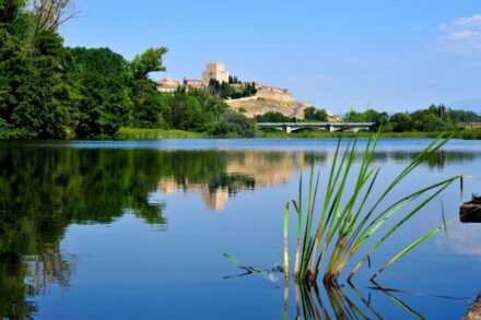 Reglamento XI Edición Combinada del Águeda 3 de agosto 2024