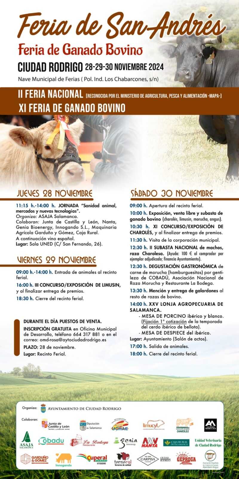 Ciudad Rodrigo se prepara para la tradicional Feria de San Andrés
