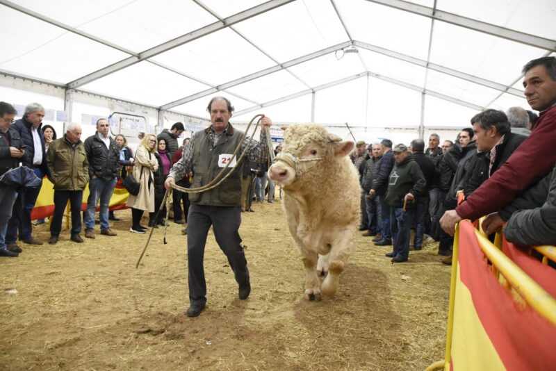 Bases participación en la Feria de San Andrés 2024
