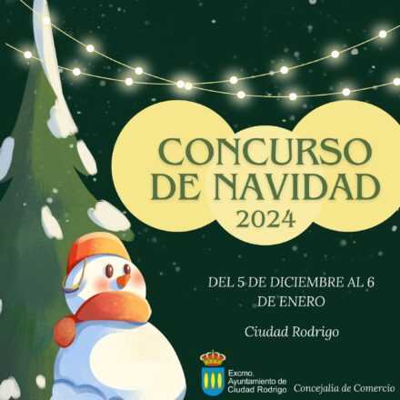 Quince zonas participan en el concurso de decoración navideña