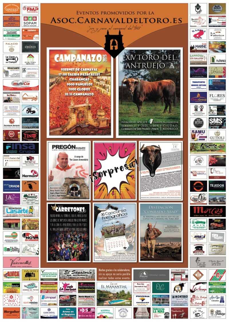 Actividades de la asociación «Carnavaldeltoro.es»