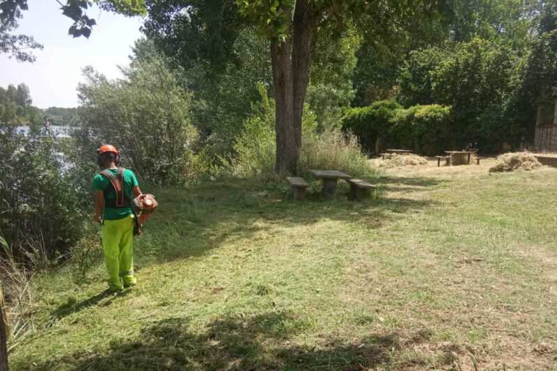 Bando de Limpieza de Solares