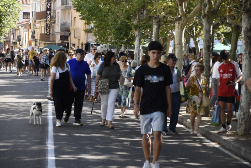 Aprobado el listado de los puestos para el Martes Chico