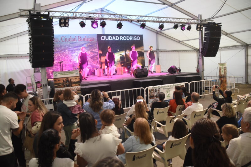Licitación para la instalación de cuatro barras de bar y la cesión de uso de una caseta para la Feria del Caballo 2025