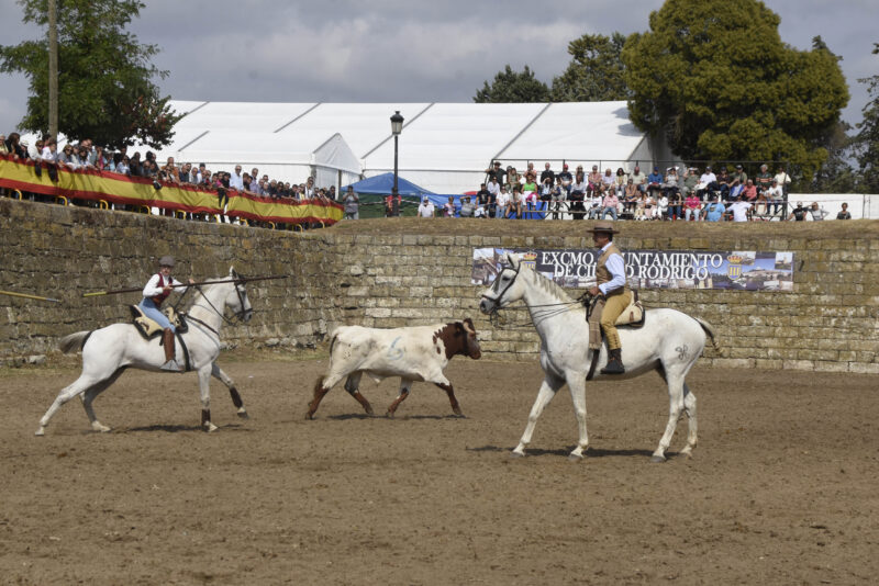 Concurso de Apartado de la Vaca en la XXIV Feria del Caballo