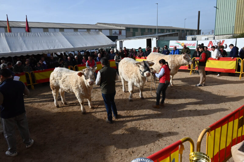 La dermatosis obliga a suspender la Feria de San Andrés