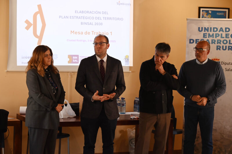 Elaboración del Plan Estratégico del Territorio BINSAL 2030