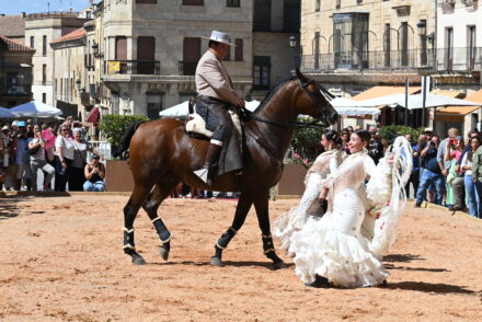 XXIII Concurso de Fotografía de la Feria del Caballo de Ciudad Rodrigo