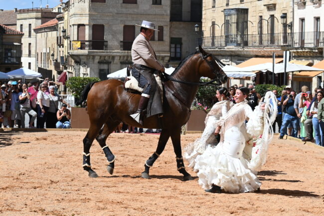 XXIII Concurso de Fotografía de la Feria del Caballo de Ciudad Rodrigo