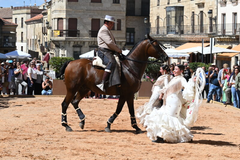 XXIII Concurso de Fotografía de la Feria del Caballo de Ciudad Rodrigo